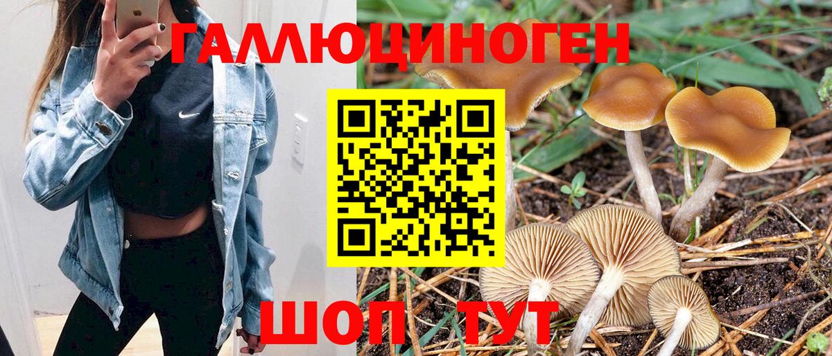Псилоцибиновые грибы мухоморы  Вход с VPN  Омск 