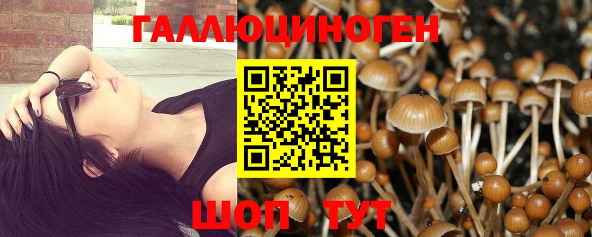 Галлюциногенные грибы Magic Shrooms Омск